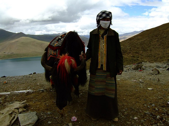 Keeping the Yak