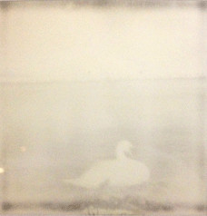 VI Plastic Camera Show, Rayko Gallery, 2014 (Juried Show)